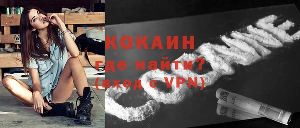 сатива Аркадак