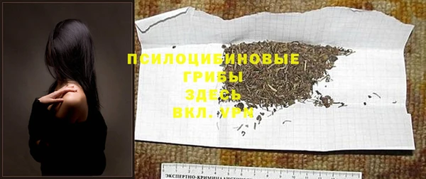 сатива Аркадак