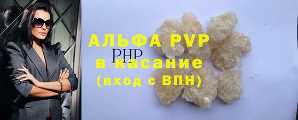сатива Аркадак