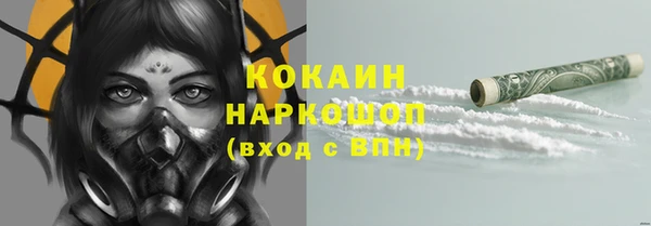 сатива Аркадак