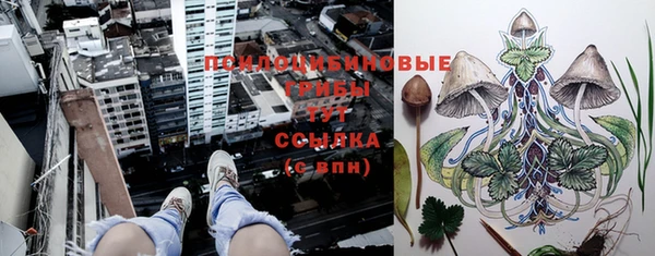 каннабис Армянск