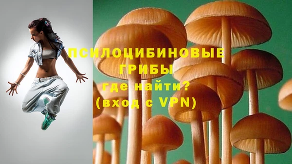 сатива Аркадак