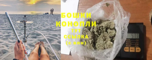 сатива Аркадак