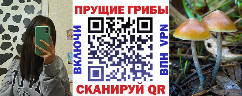 Псилоцибиновые грибы GOLDEN TEACHER  ОМГ ОМГ как зайти  Олёкминск 